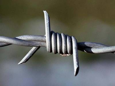 A line of barbed wire on the gray background with double barbs.