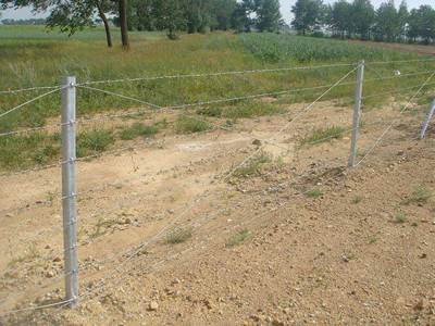 Galvanized barbed wire fences are installed in the farmland.