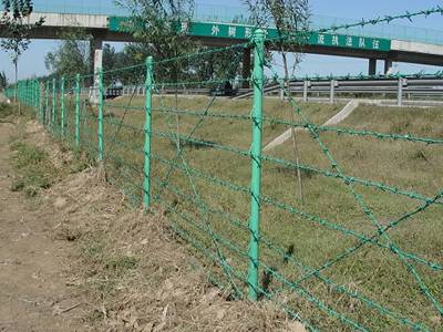 Green PVC coated barbed wire fences are installed along the highway.