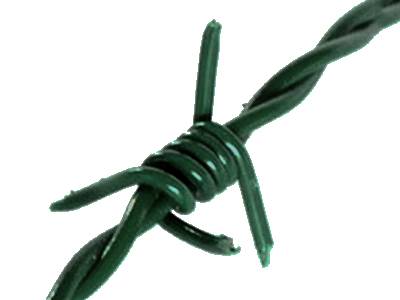 A dark green color PVC coated barbed wire on the white background.