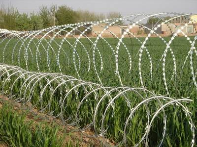 Two lines of concertina razor wires are installed in the farmland.