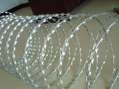 A roll of galvanized concertina razor wire on the ground.