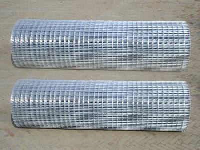 Two rolls of hot-dipped galvanized welded wire mesh on the ground