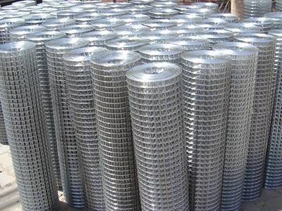 Hot-dipped galvanized welded wire mesh rolls in our factory yard