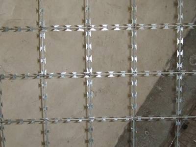 A piece of straight razor wire with square meshes.