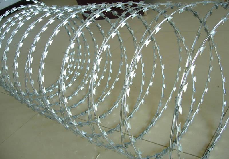 A coil of hot dipped galvanized concertina razor wire on the floor.