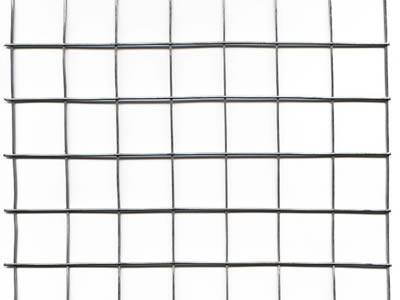 A sheet of galvanized welded wire mesh panel on the white background.
