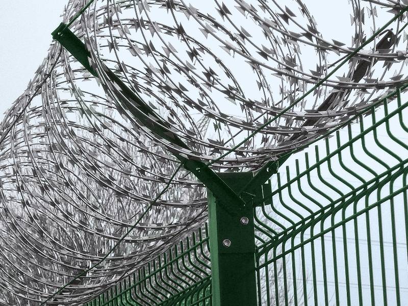A security fencing with galvanized razor concertina wires on top of green welded wire mesh fence.