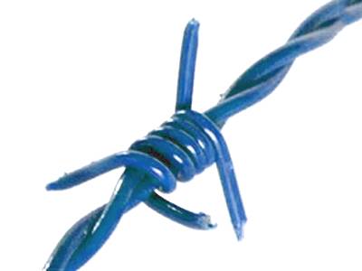 A blue color PVC coated barbed wire on the white background.
