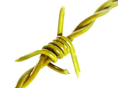 A yellow color PVC coated barbed wire on the white background.