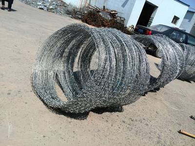 Several rolls of concertina barbed wire in the yard.