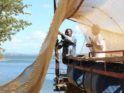 Two men are throwing the copper alloy aquaculture netting into water.