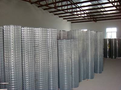 Galvanized welded wire rolls in ware house 2