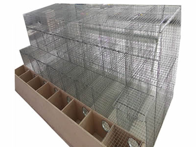 A double layer mink cages with wooden case on the white background.