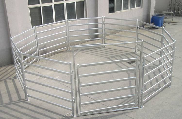 Several corral panels with oval rails are installed on the ground.