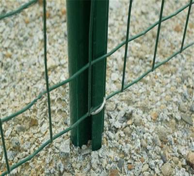 A piece of green Euro fence is embedded into the soil ground.