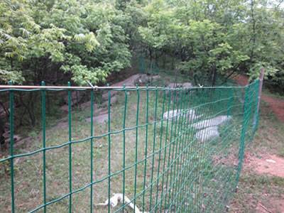 Green Euro fences are installed surrounding the orchard.