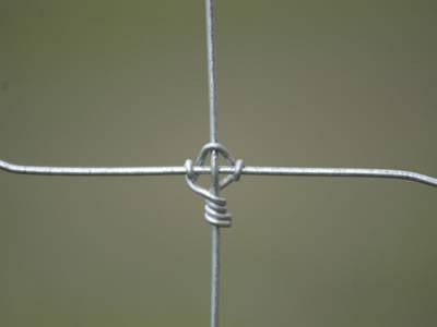 A detail of fixed joint of woven wire cattle fence.