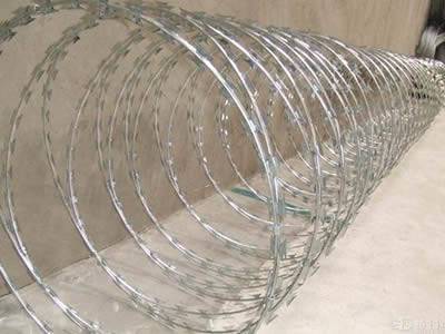 A roll of galvanized concertina razor wire on the ground.