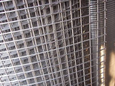 A roll of hot-dipped galvanized square welded wire mesh