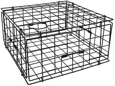 A rectangular welded mesh crab trap on the white background.