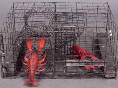 Two lobsters in the welded mesh trap.
