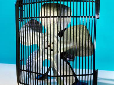 Application: welded wire for safety