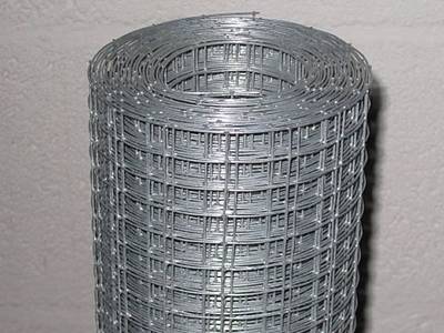 Electro Galvanized Iron Wire And Mesh