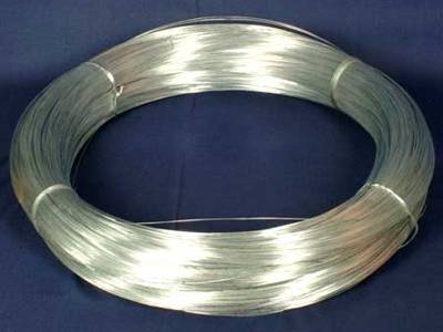 Electro Galvanized Iron Wire And Mesh